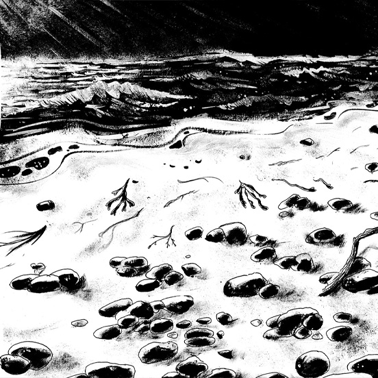 illustration-plage-rem-le-reveur-jordan-gentes