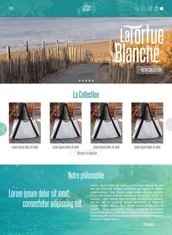 web_design_tortue_blanche_552