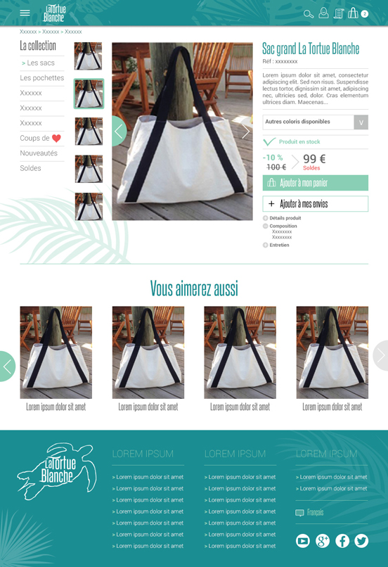 web_design_tortue_blanche_552