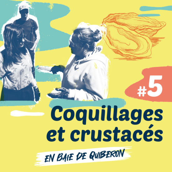 coquillages-et-crustaces-iode-menhirs-beurre-sale-graphisme-podcast-jordan-gentes