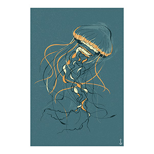 illustration-meduse-petrole-cuivre-jordan-gentes