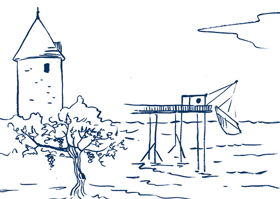 croquis-etiquette-vin-moulin-esperance-fouras-jordan-gentes